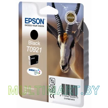 Картридж Epson C13T10814A10 картинка 2